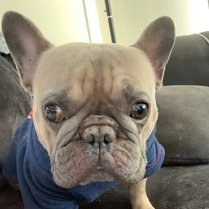 Meet your Posher, Jayme